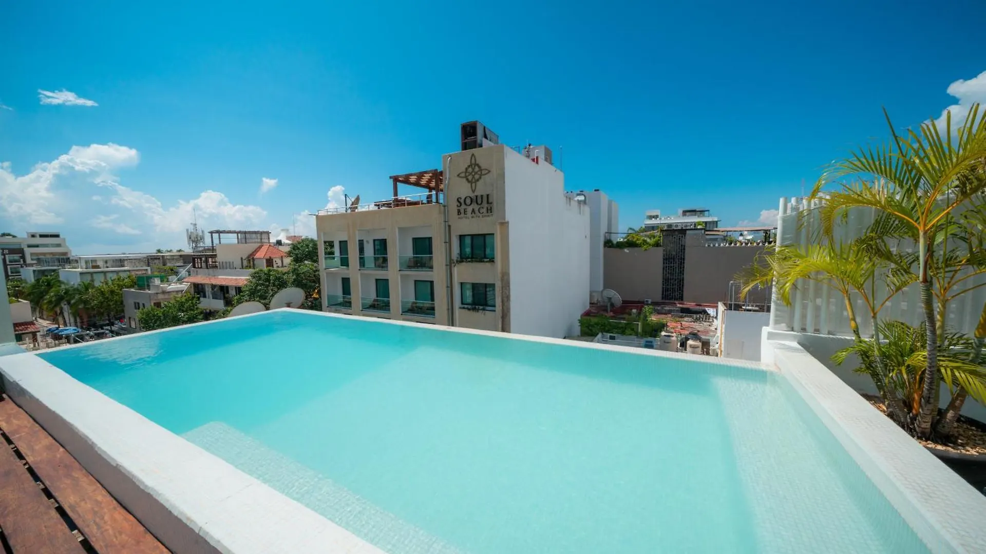 The Loft - Condo In Center Of 신데 델 카르멘 0*,  멕시코
